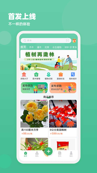 苗材好