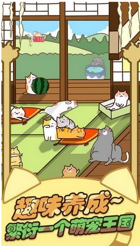 行走喵星人 行走喵星人