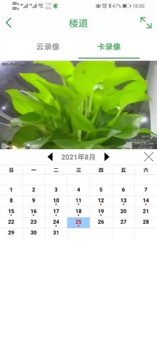 Seetong最新版本