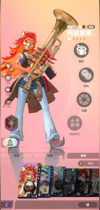 Dislyte安装器
