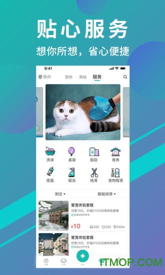 宠都