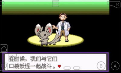口袋妖怪 漆黑的魅影6.0 无限洁白