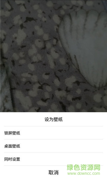 全局透明屏幕