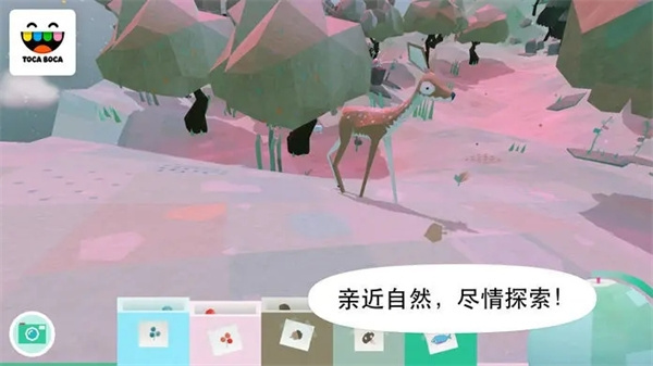 托卡大自然官方正版