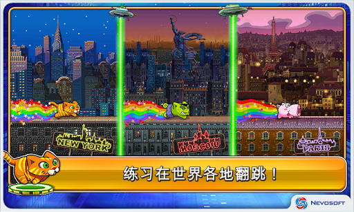 City Cat(城市猫app下载)
