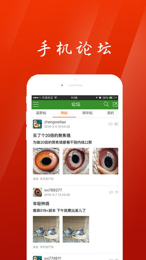 中国信鸽信息网