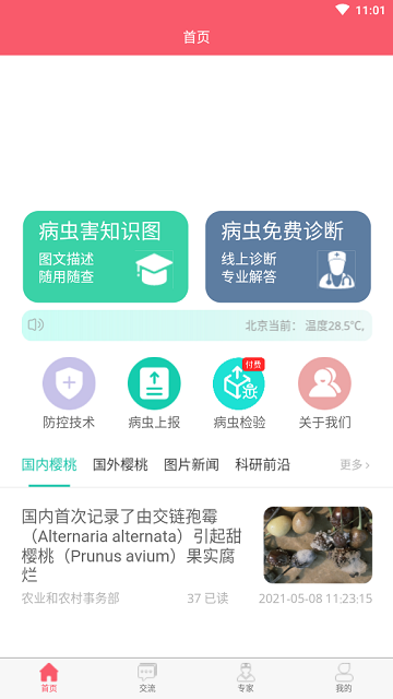 樱桃医生