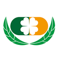 药实在