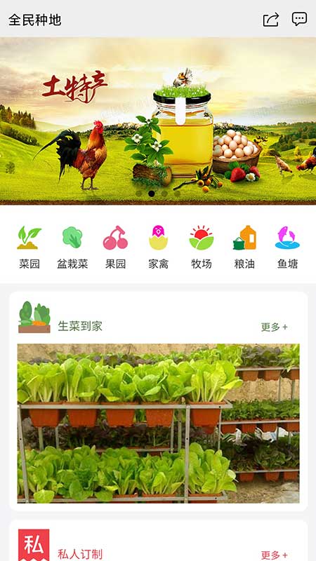 全民种地