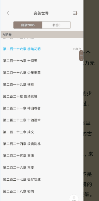 顶点阅读手机版(可换源)