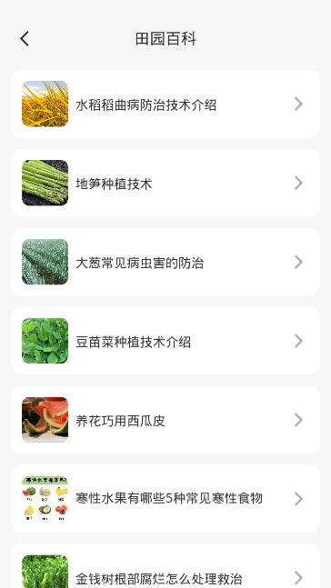 智慧田园