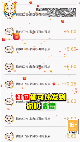 权哥的茶点