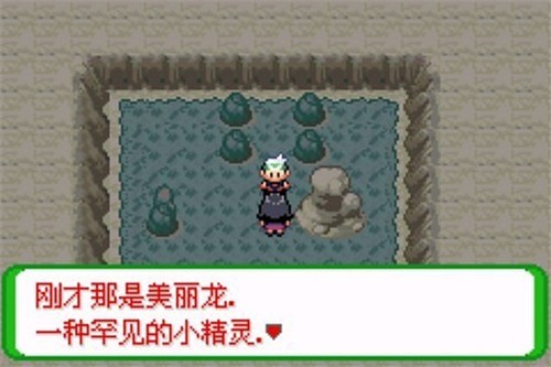 口袋妖怪空之花神