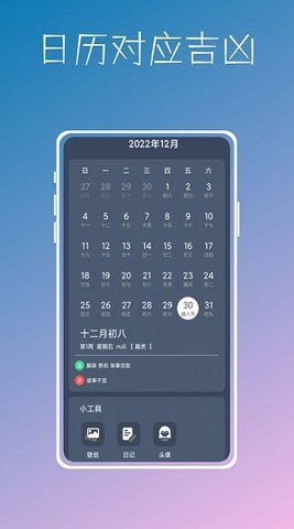 数字温度计鸭