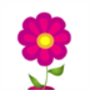 P Tracker D经期规划大师