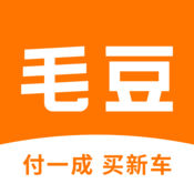 毛豆新车