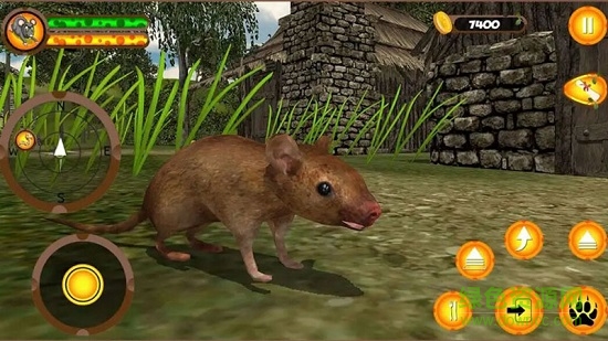 疯狂老鼠王 疯狂老鼠王