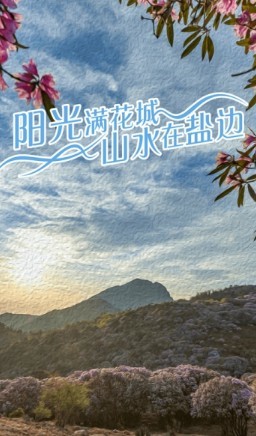山水盐边