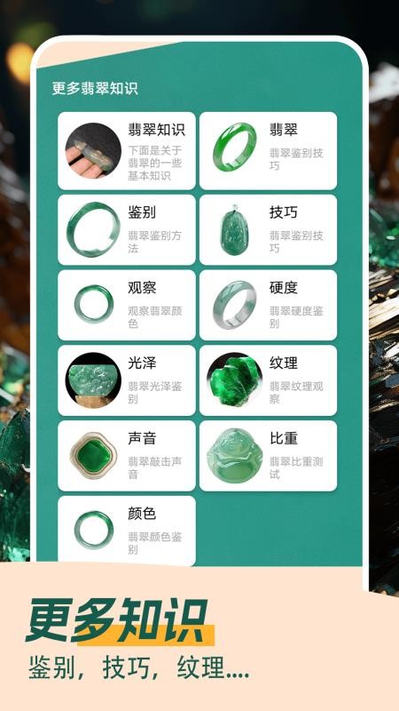 翡翠大王急速版