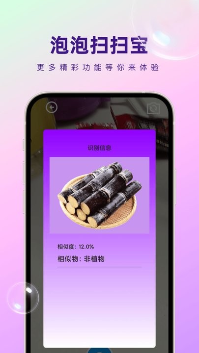 扫宝