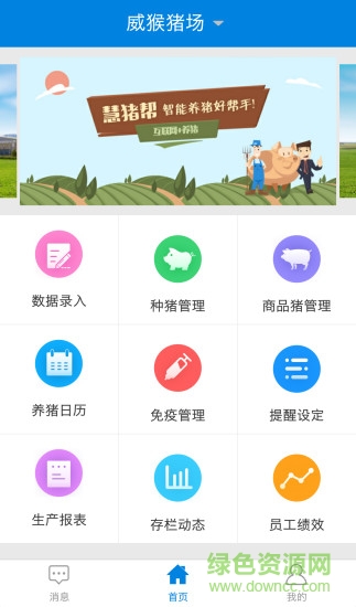 慧猪帮
