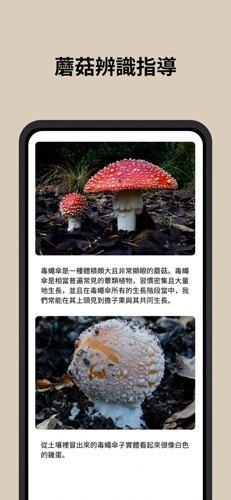 二维码手机扫一扫