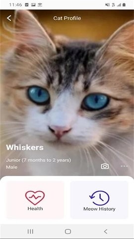 MeowTalk