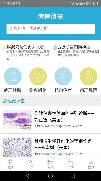 大伽病理