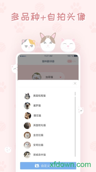 猫咪翻译器