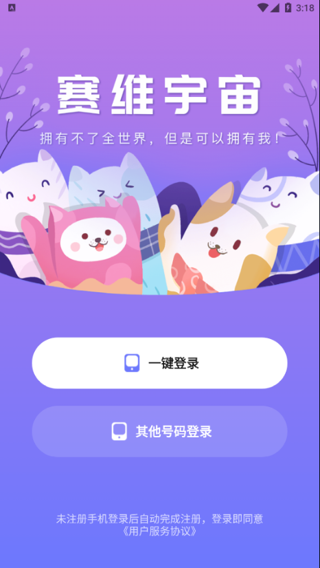 赛维宇宙