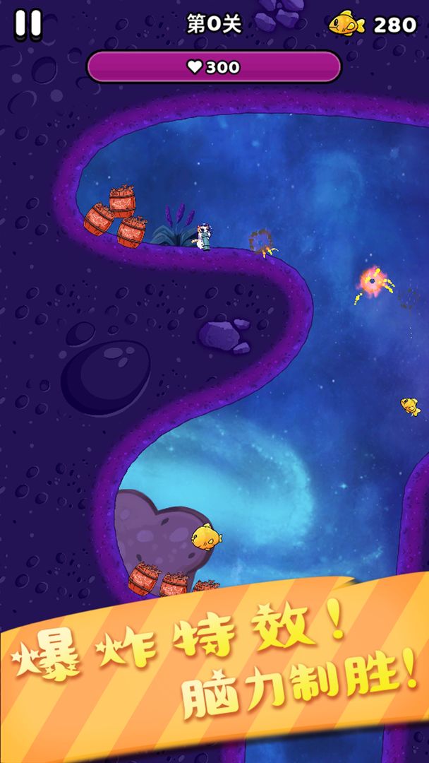 开心飞弹猫 开心飞弹猫