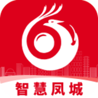 智慧凤城工作端