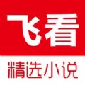 飞看小说