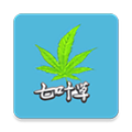 光标谱伴奏软件 最新版v2.1.4