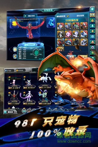 口袋训练师