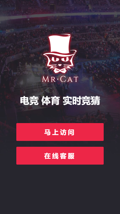 MrCat电竞