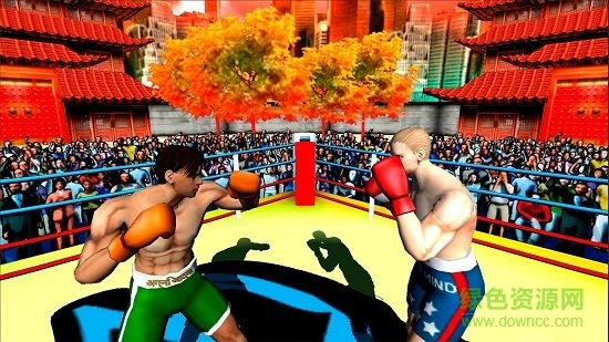 3d拳王争霸赛中文版2019(fx3)