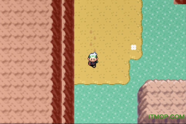 口袋妖怪魂银汉化版