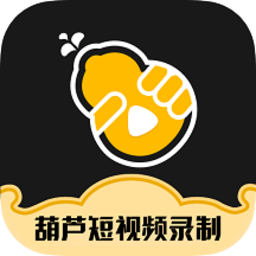 视频录制专家