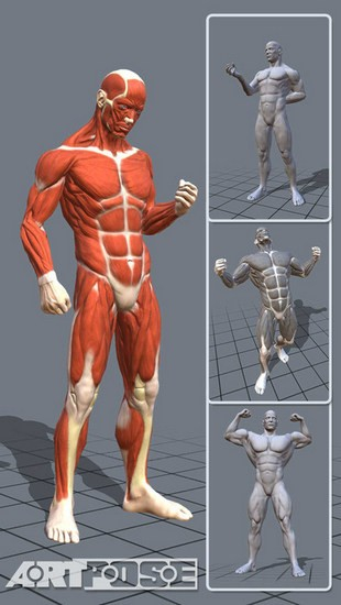 artpose 最新版6.8.65