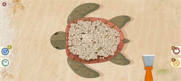 抖音小小收纳师