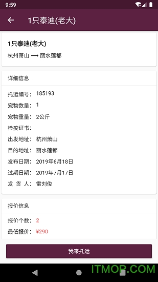 宠物托运