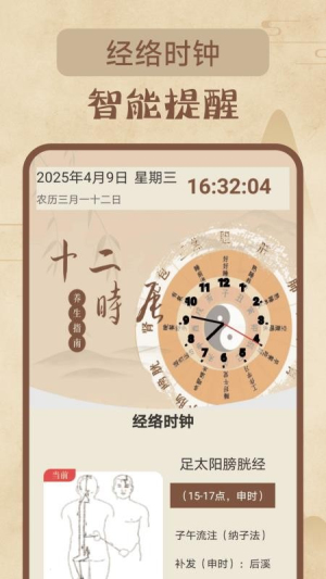 针灸经络穴位