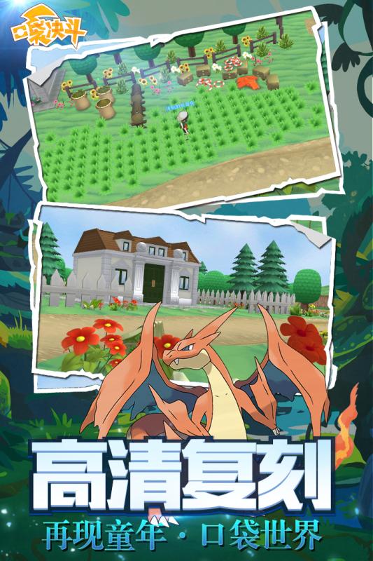 宠物飞升