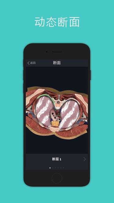 Complete Anatomy2022苹果版