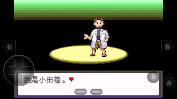 口袋妖怪黑白2修改器