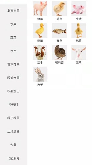 托农网官方版