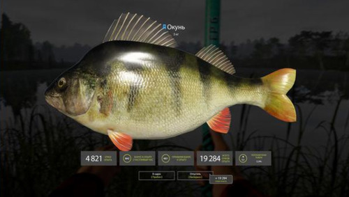 俄罗斯钓鱼4手机版