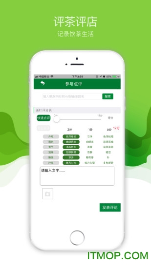 评茶大师