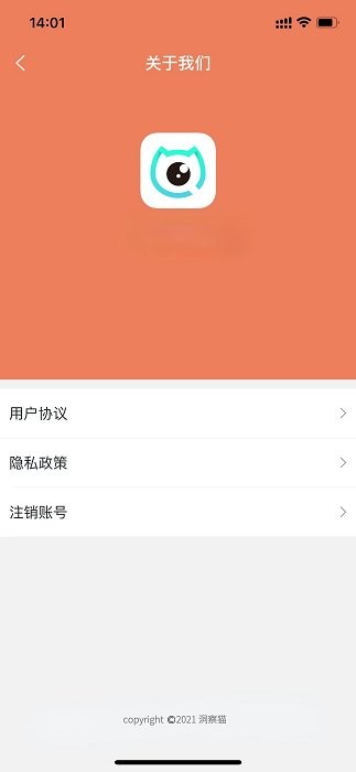 洞察猫